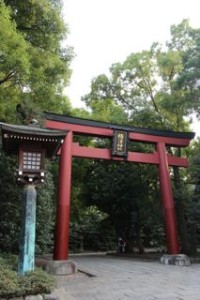 a gate of shrine, called torii